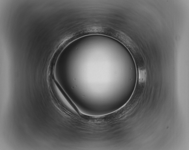 X0000108480627200904091438