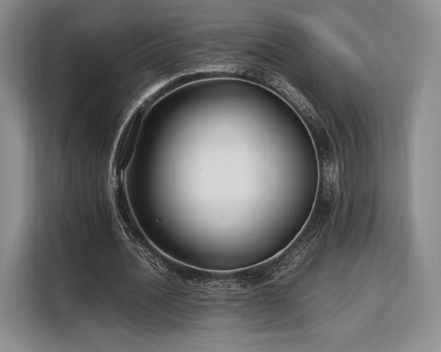 X0000108480628200904091438