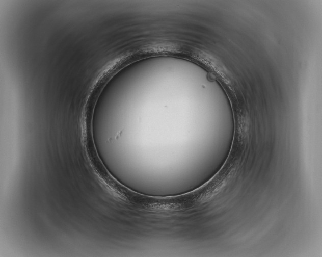 X0000108480629200904091438
