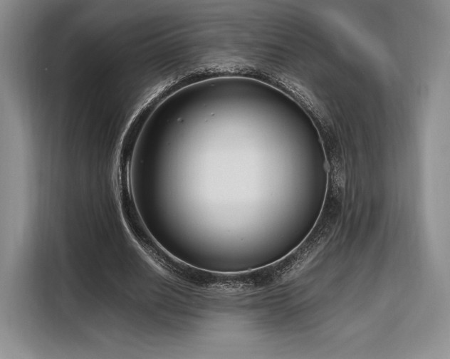 X0000108480630200904091438