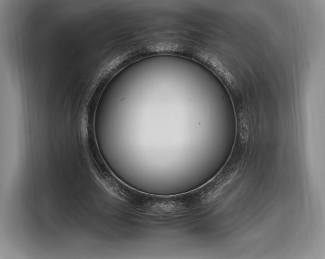 X0000108480631200904091438