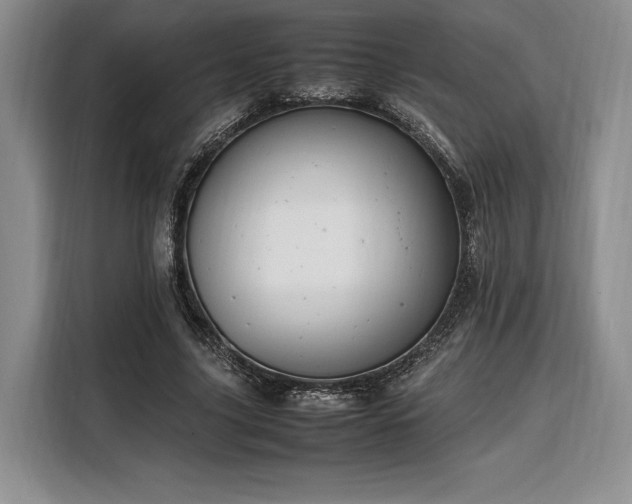 X0000108480635200904091438