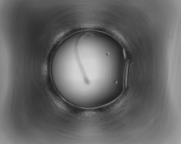 X0000108480636200904091438