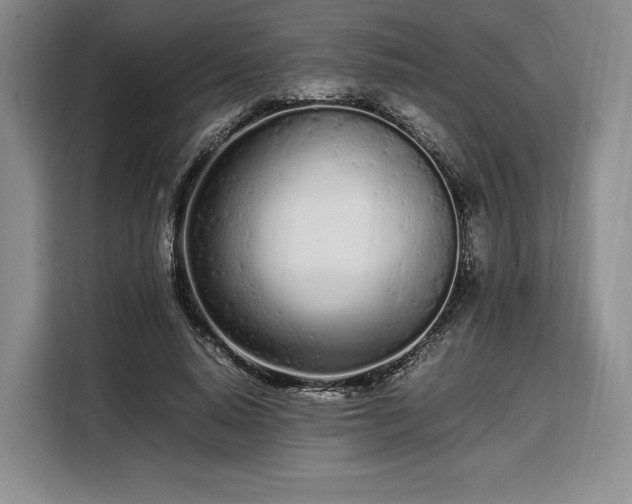 X0000108480640200904091438