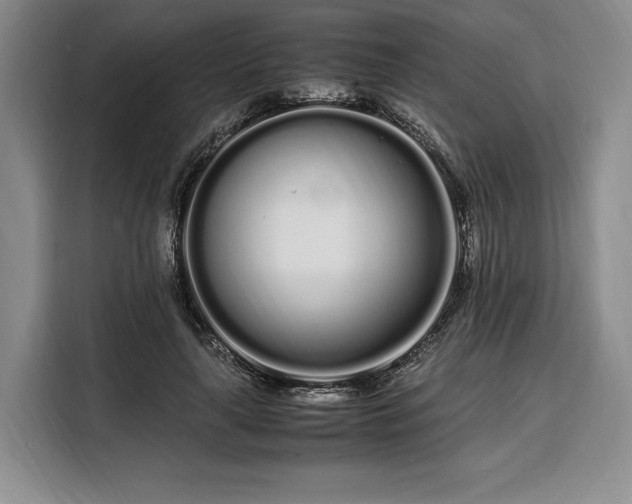 X0000108480643200904091438