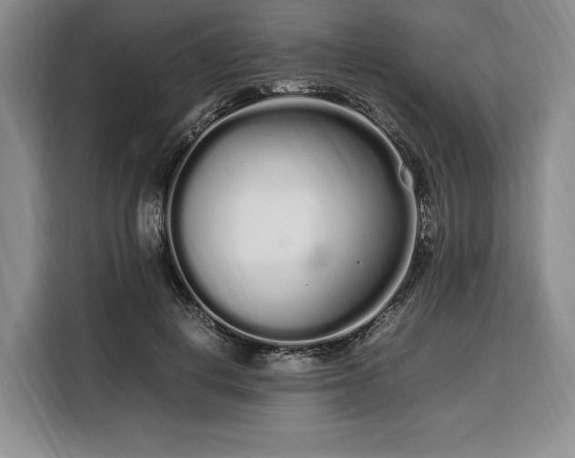 X0000108480648200904091438