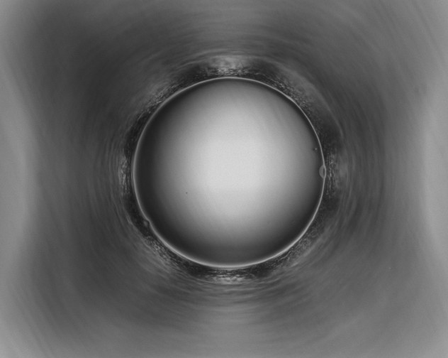 X0000108480650200904091438