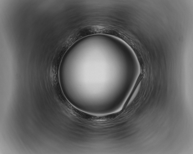 X0000108480653200904091438