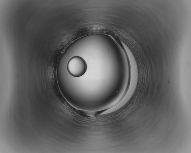 X0000108480654200904091438