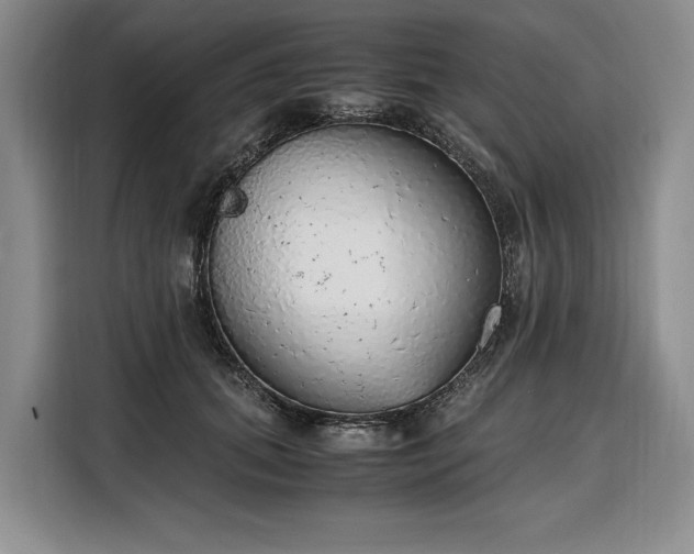 X0000108480655200904091438