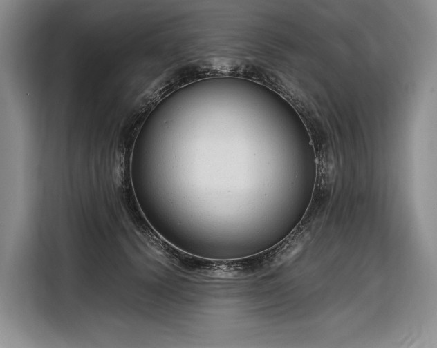 X0000108480656200904091438