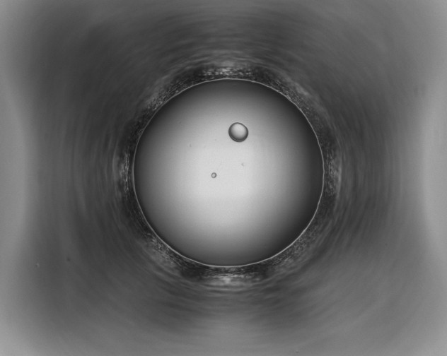 X0000108480657200904091438