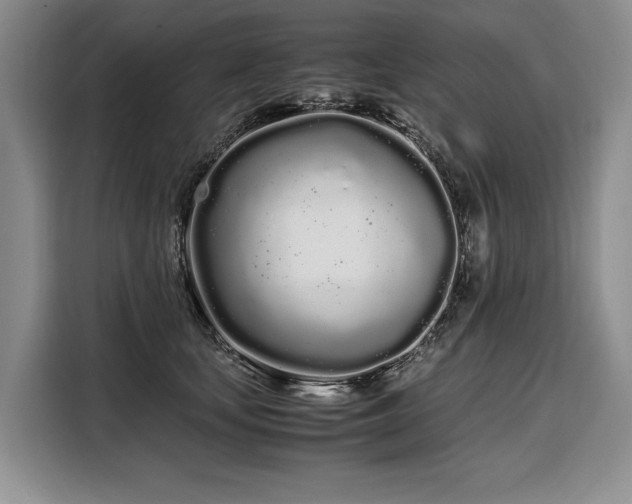 X0000108480659200904091438