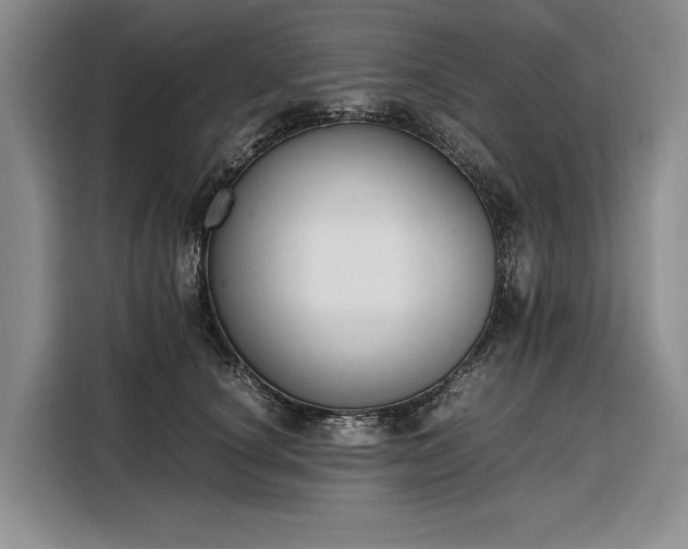 X0000108480660200904091438