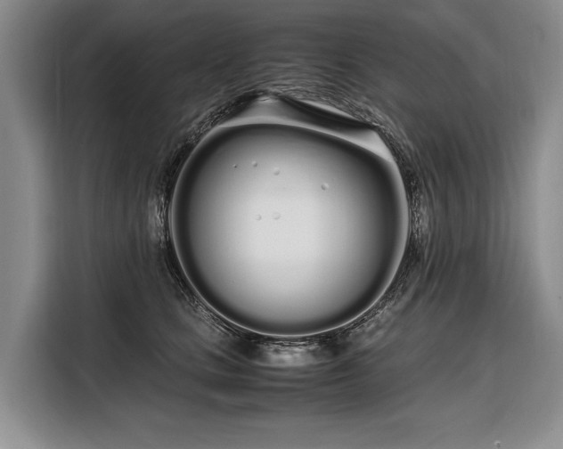 X0000108480661200904091438