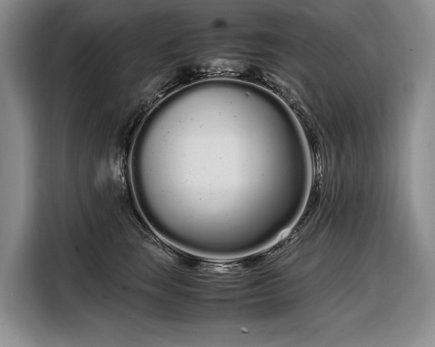X0000108480663200904091438