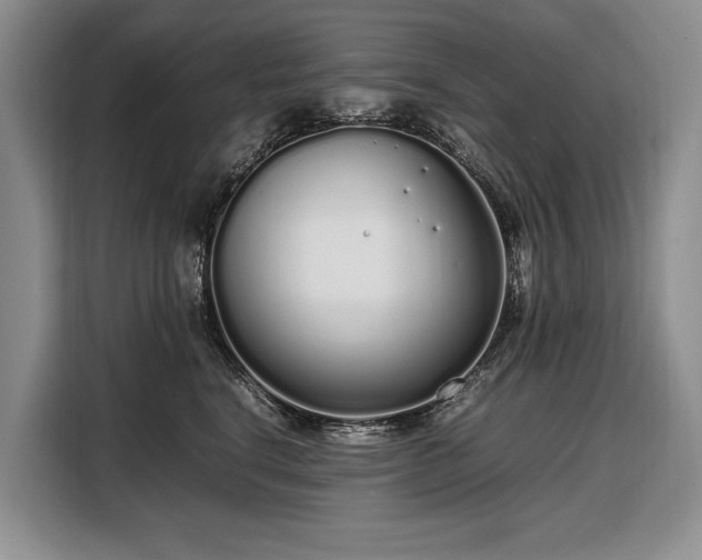 X0000108480664200904091438