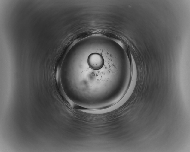 X0000108480667200904091438