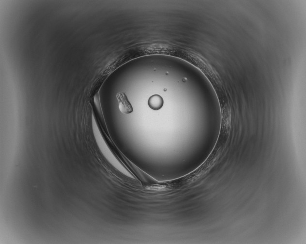 X0000108480669200904091438