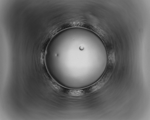 X0000108480671200904091438