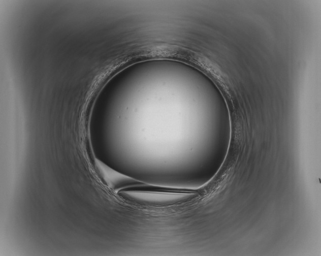 X0000108480673200904091438