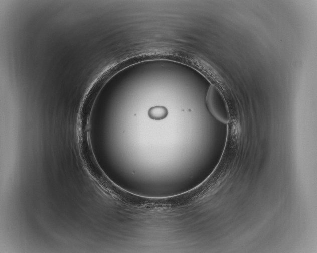 X0000108480676200904091438