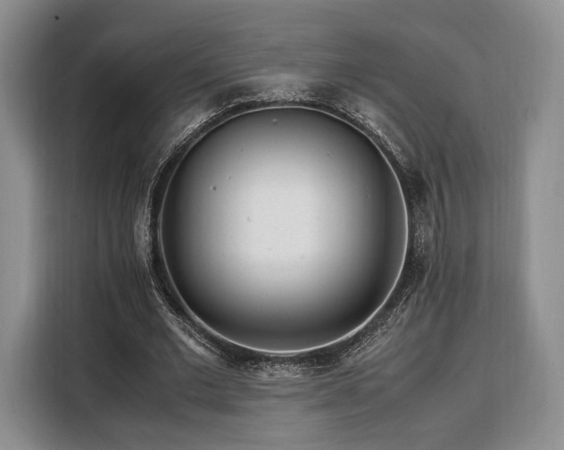 X0000108480677200904091438