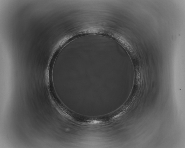 X0000108480678200904091438