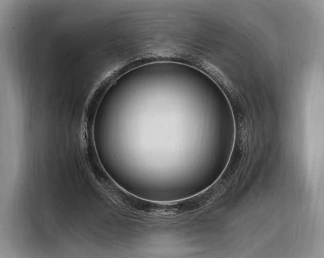 X0000108480680200904091438