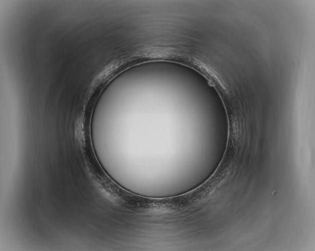 X0000108480682200904091438