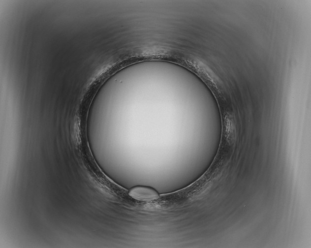 X0000108480684200904091438
