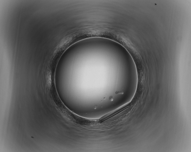 X0000108480685200904091438