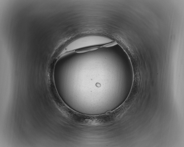 X0000108480688200904091438