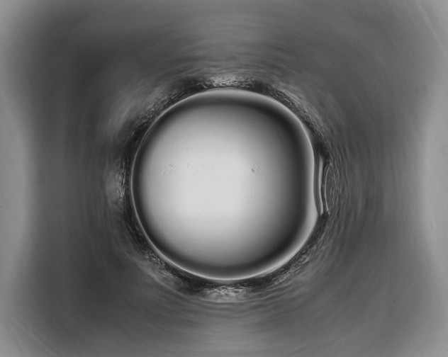 X0000108480691200904091437