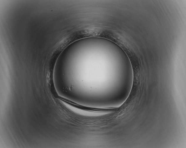 X0000108480693200904091437