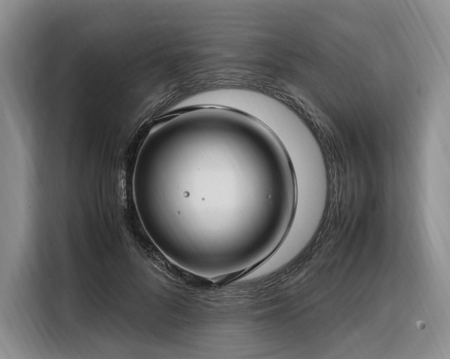 X0000108480696200904091437