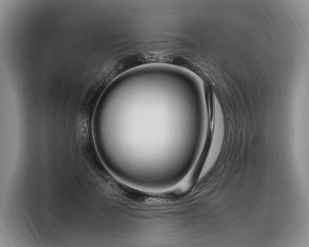 X0000108480699200904091437
