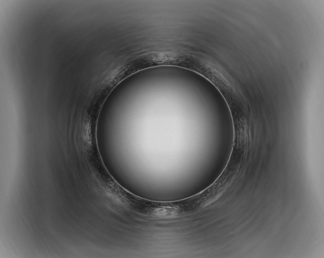 X0000108480700200904091437