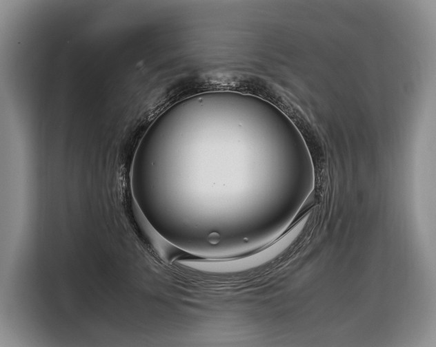 X0000108480707200904091437