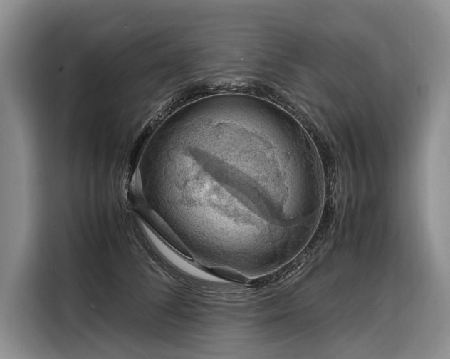 X0000108480708200904091437
