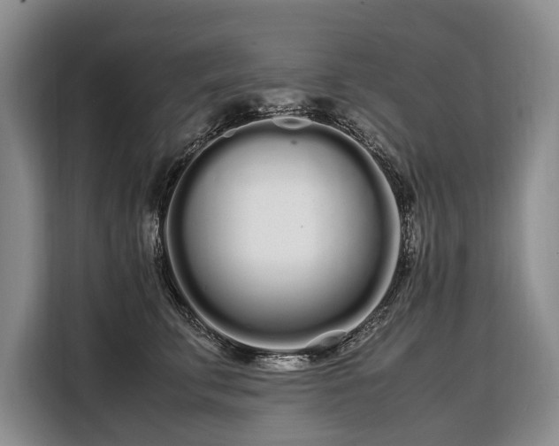 X0000108480711200904091437