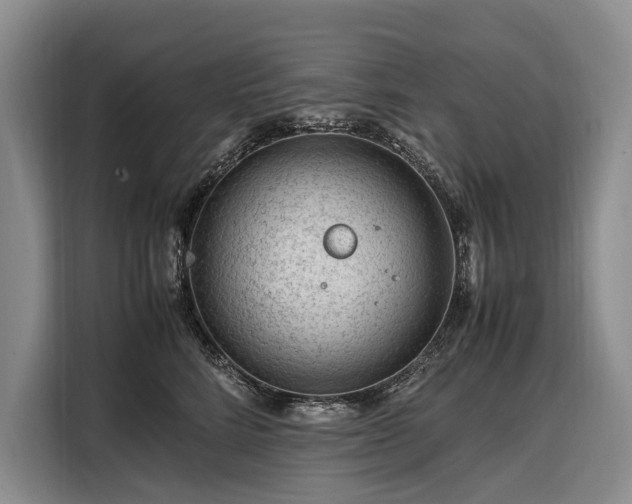X0000108480712200904091437