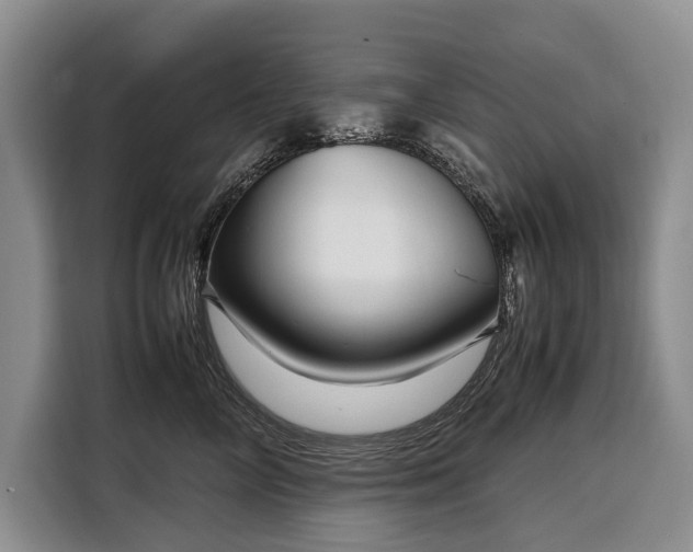 X0000108480714200904091437