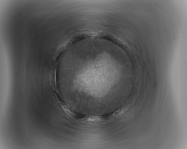 X0000108480720200904091437