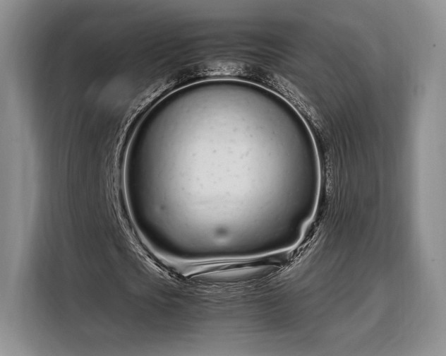 X0000108480721200904091436