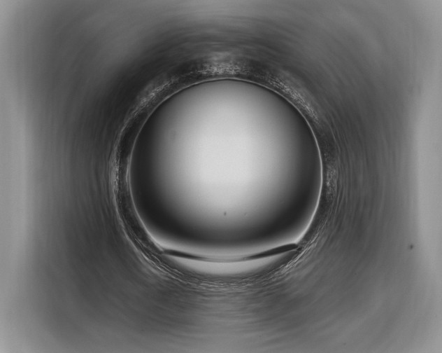 X0000108480722200904091436