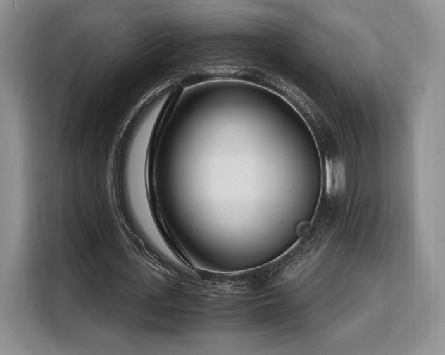 X0000108480723200904091437