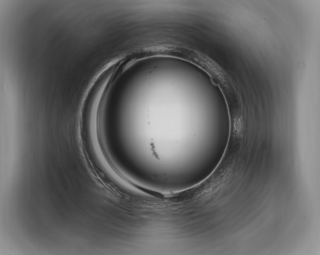 X0000108480724200904091437