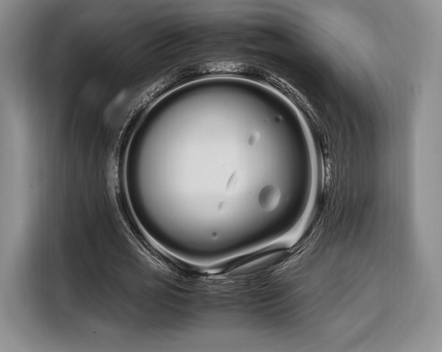 X0000108480725200904091437