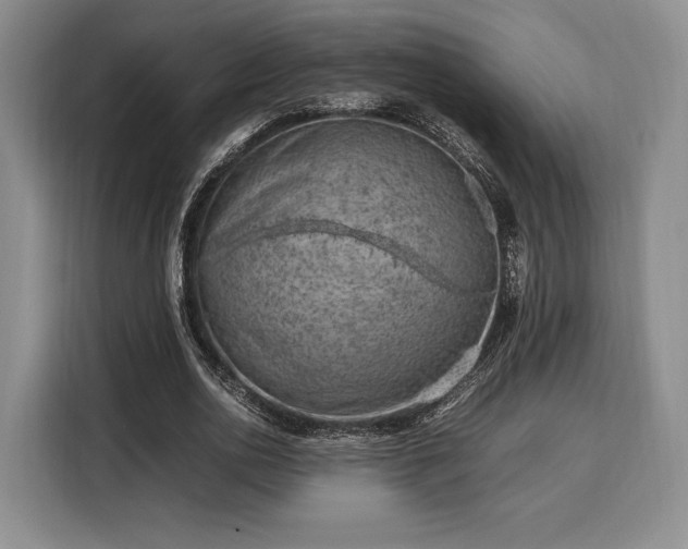 X0000108480726200904091437